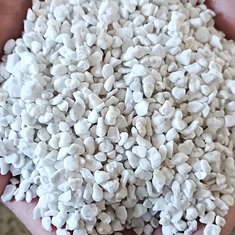 Sphagnum Moss Dry - 1 Confezione di Perlite da Giardinaggio