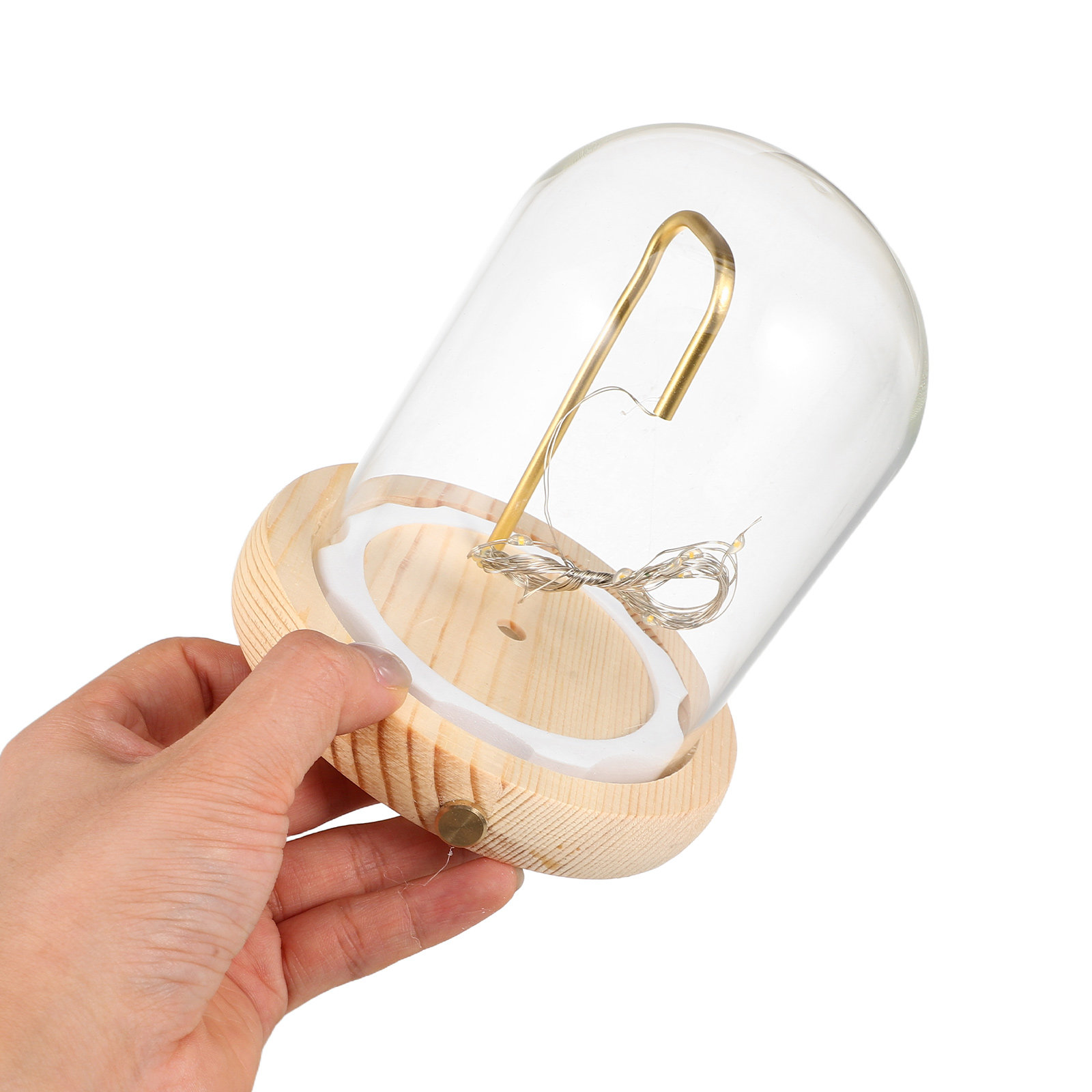 Plastic Dome Clear - Campana di Vetro Espositiva con Base