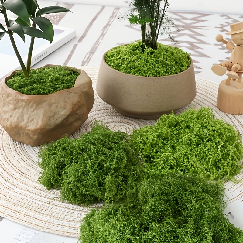 Sphagnum Moss Dry - Grande confezione di muschio artificiale realistico,