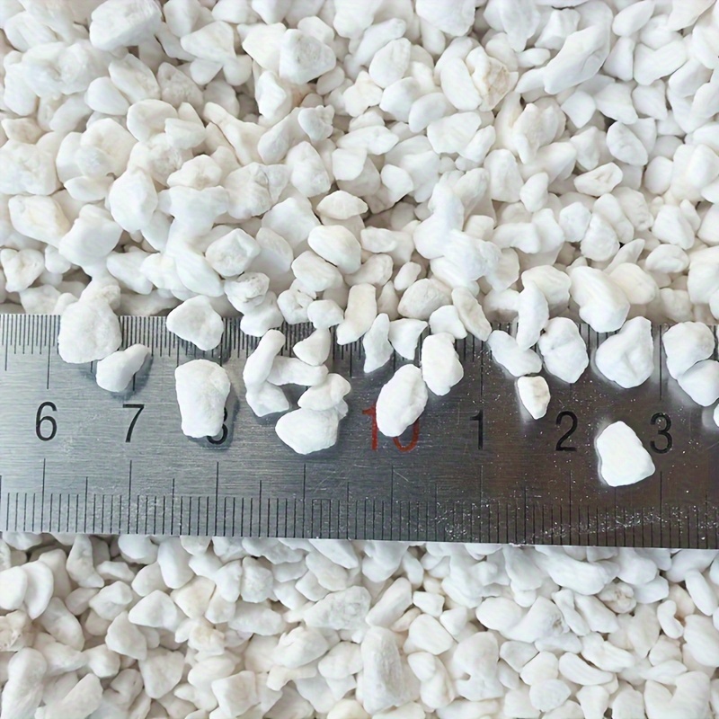 1 Confezione di Perlite da Gia - Sphagnum Moss Dry recensione e prezzo