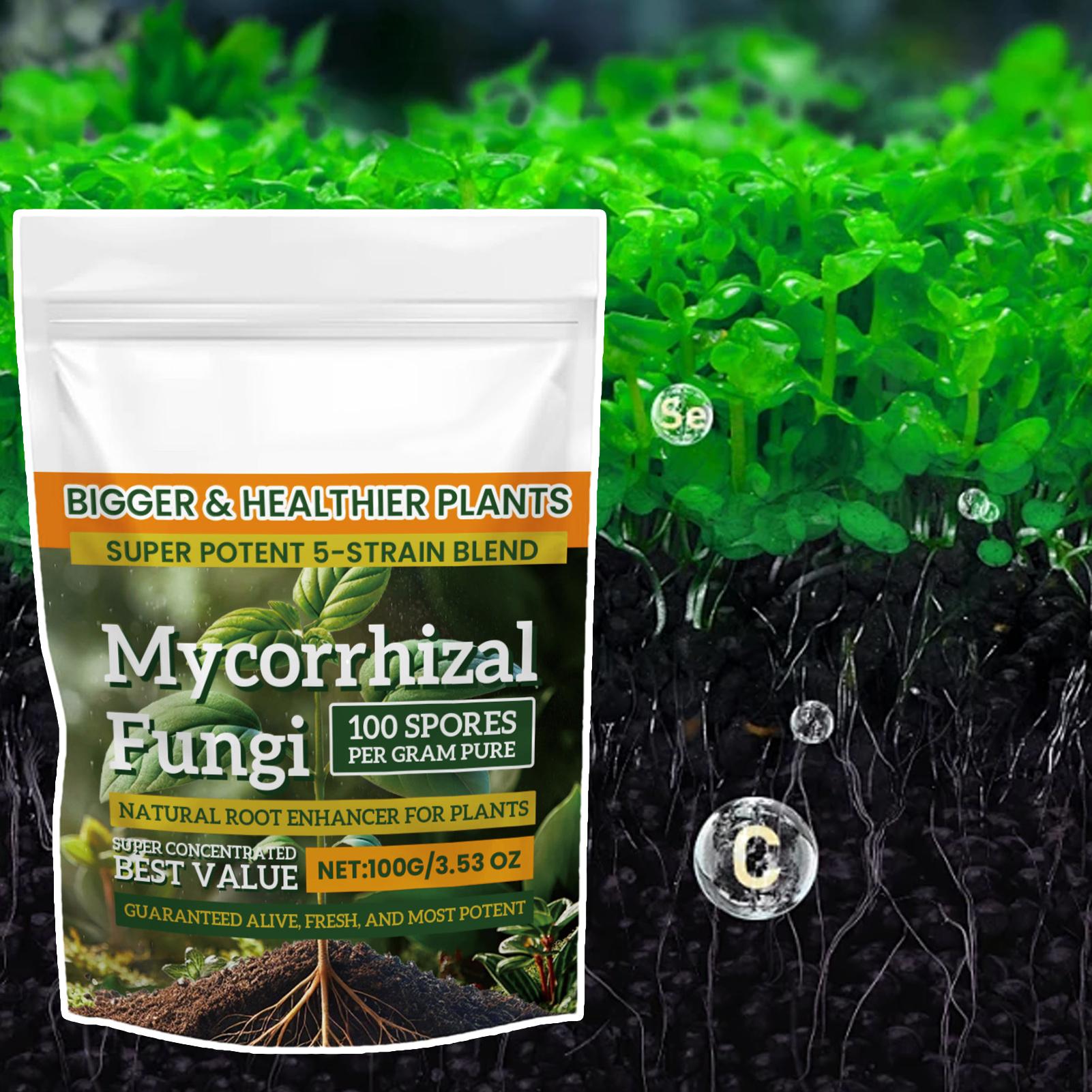 Nuova Polvere Nutriente per Pi - Rooting Hormone Powder recensione e prezzo