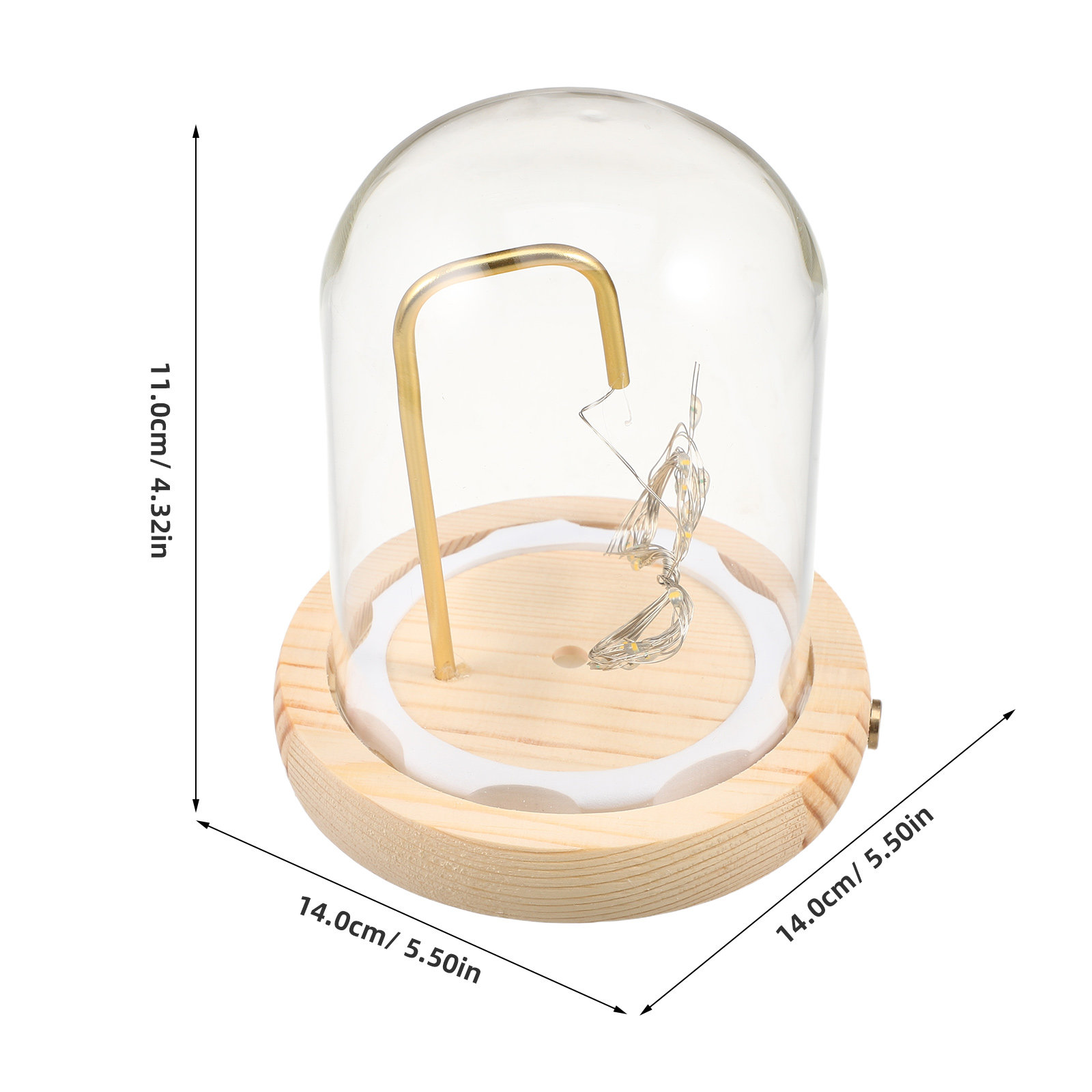 Campana di Vetro Espositiva co - Plastic Dome Clear recensione e prezzo