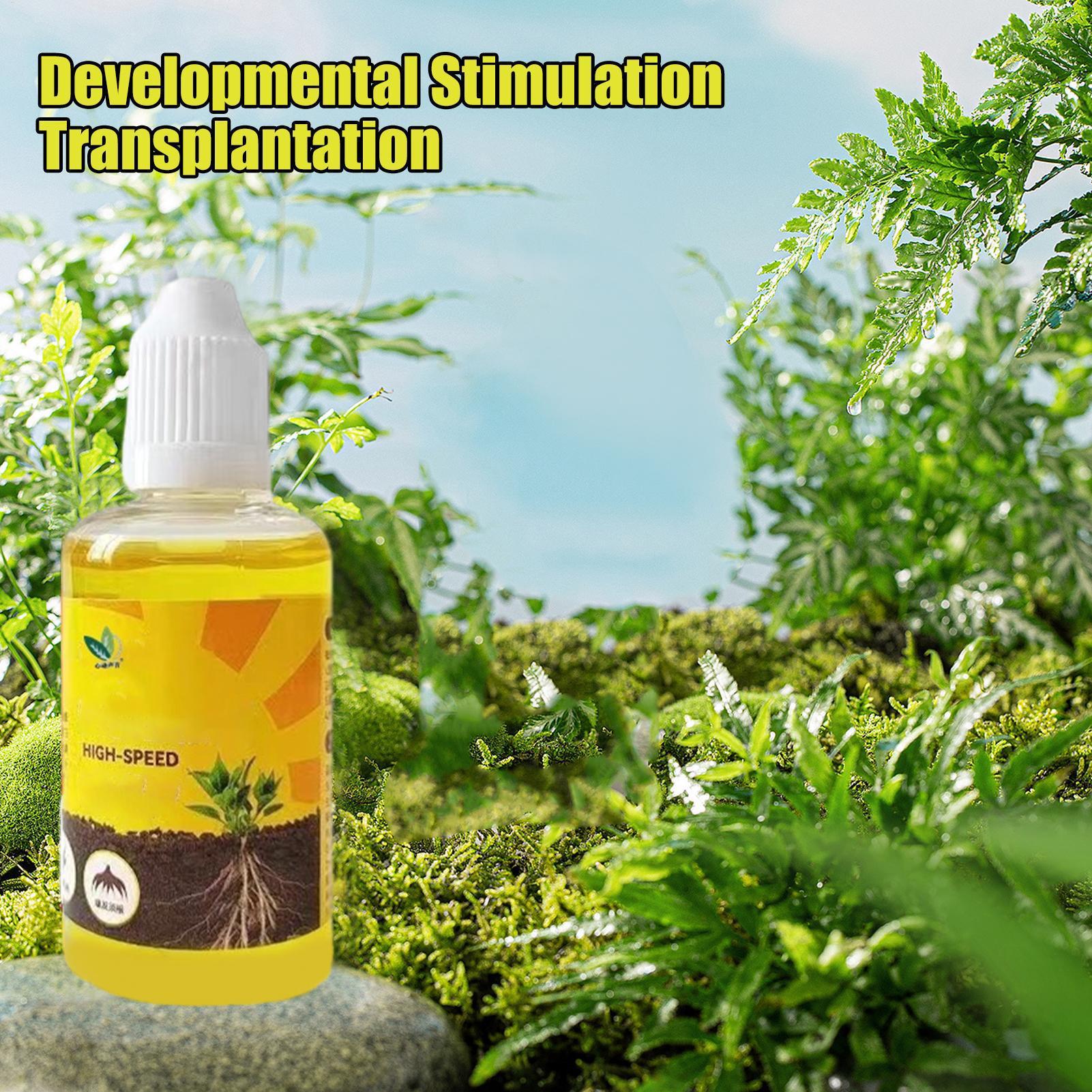 Stimolatore dell' radicazione  - Root Stimulator Liquid recensione e prezzo