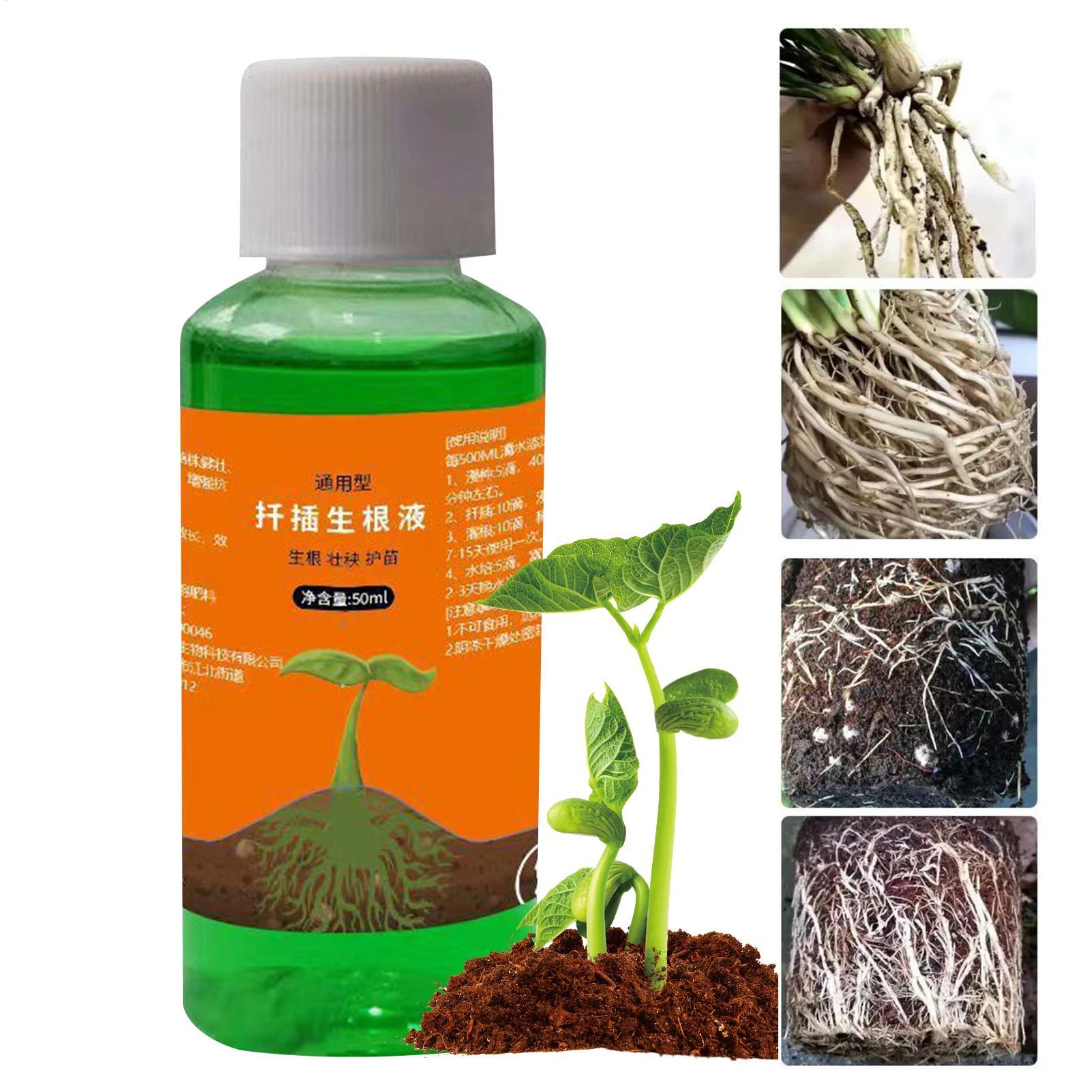 Stimolatore di Radici ad Alta  - Root Stimulator Liquid recensione e prezzo
