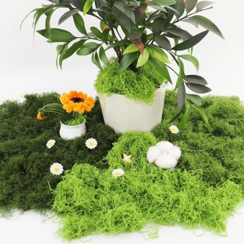 Muschio Verde Artificiale, Mus - Sphagnum Moss Dry recensione e prezzo