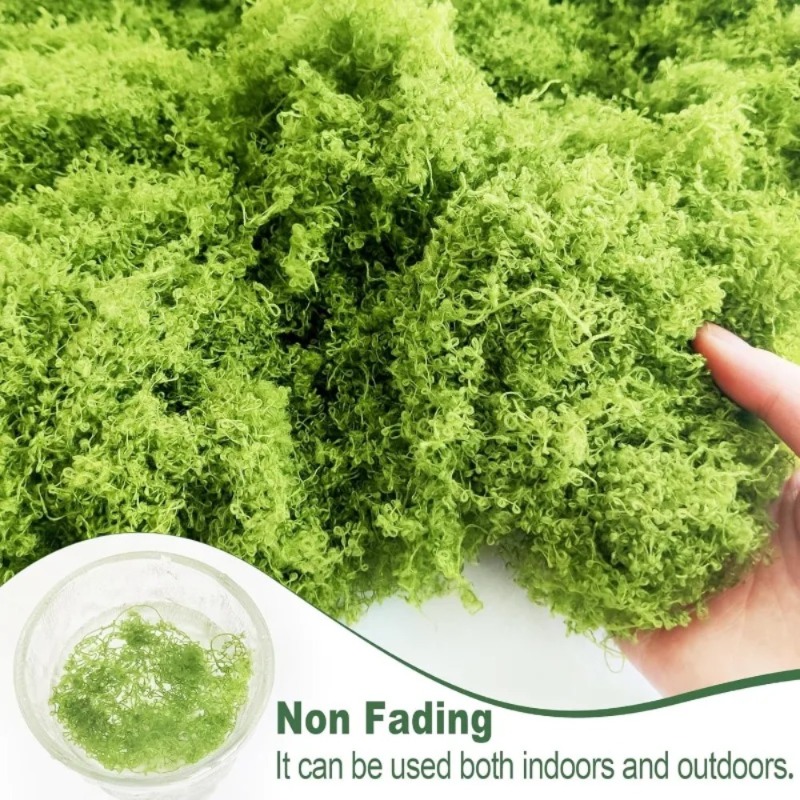 Muschio Verde Artificiale, Mus - Sphagnum Moss Dry recensione e prezzo