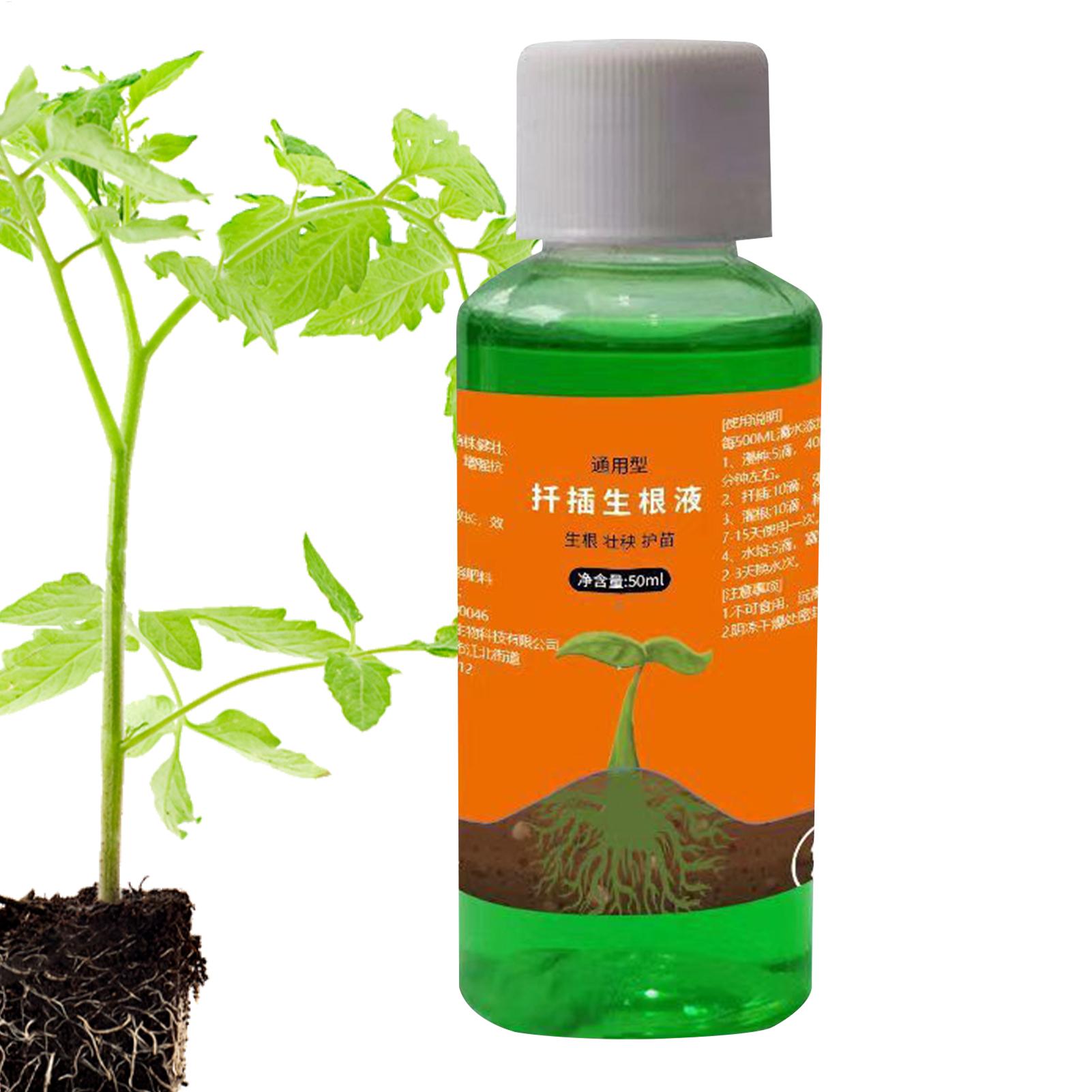 Soluzione nutritiva da 50 ml p - Root Stimulator Liquid recensione e prezzo