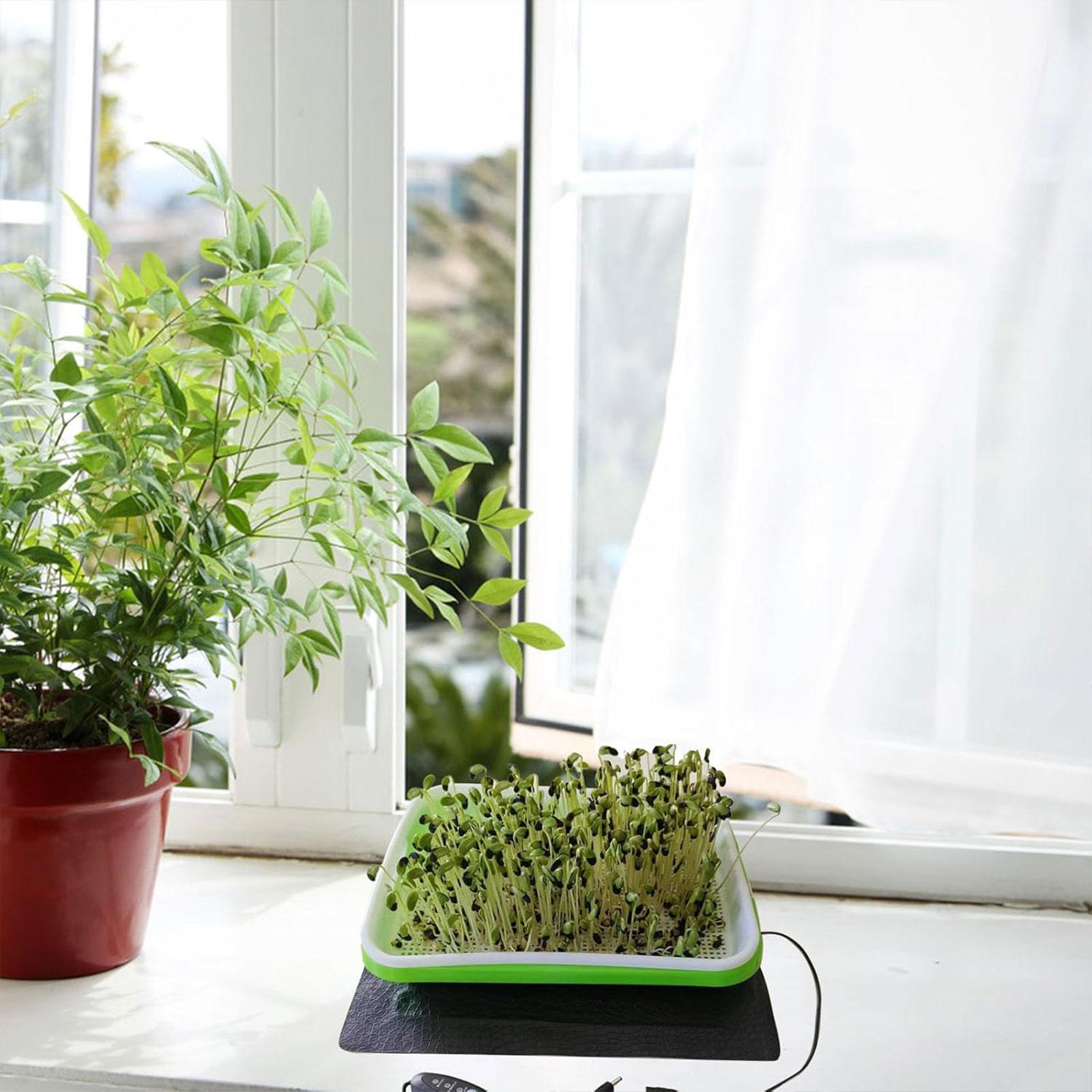 Tappetino Riscaldante Idroponi - Heat Mat Seedling recensione e prezzo