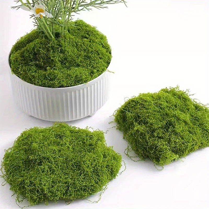 Verde finto muschio artigianat - Sphagnum Moss Dry recensione e prezzo